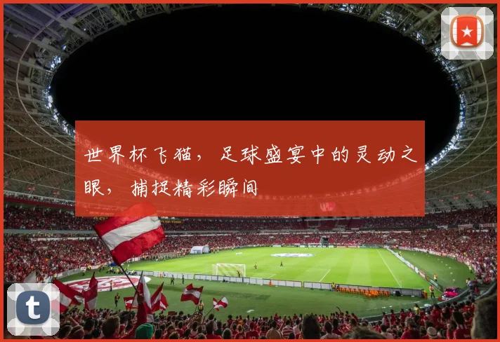 世界杯飞猫，足球盛宴中的灵动之眼，捕捉精彩瞬间