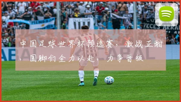 中国足球世界杯预选赛，激战正酣，国脚们全力以赴，力争晋级
